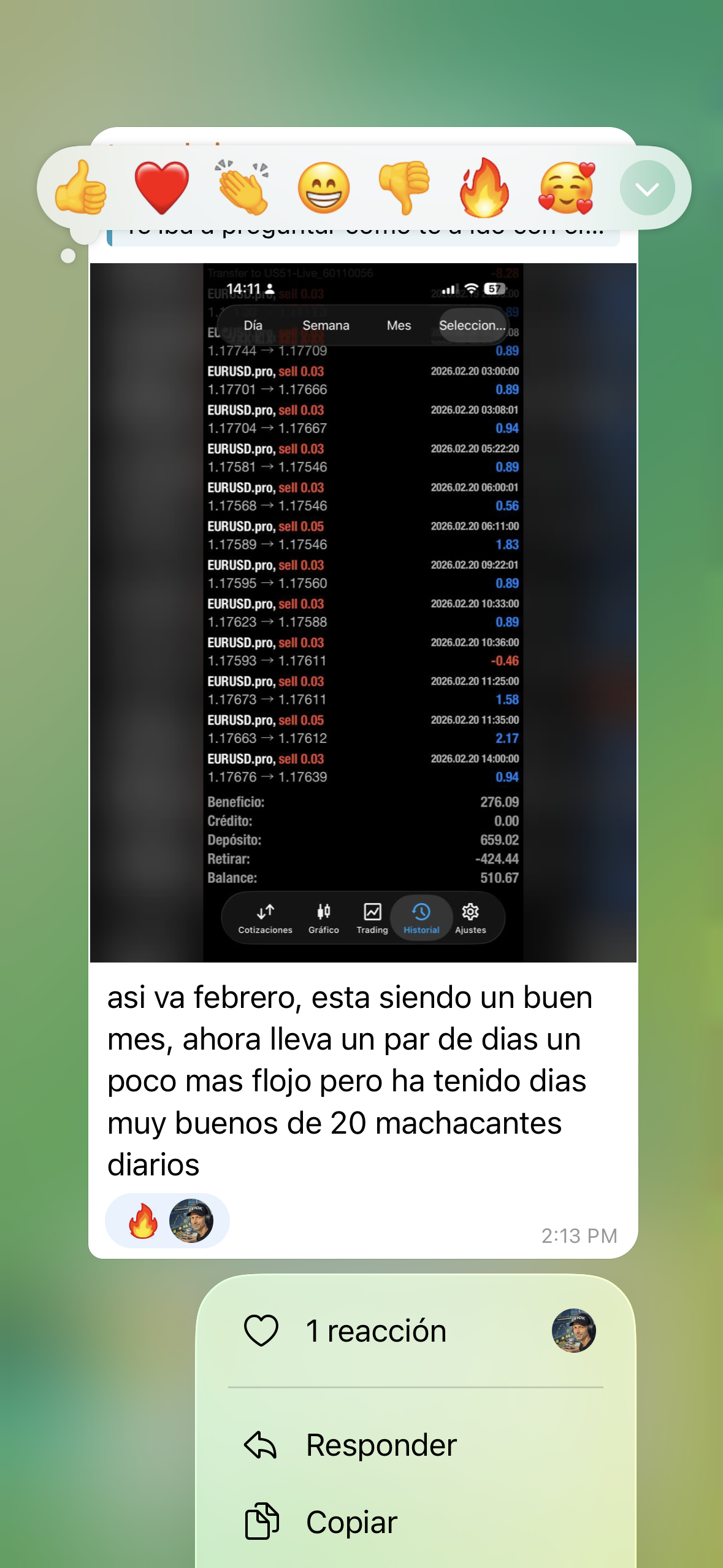 Testimonio 5